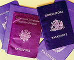 procedimientstandard.jpg (5163 bytes)